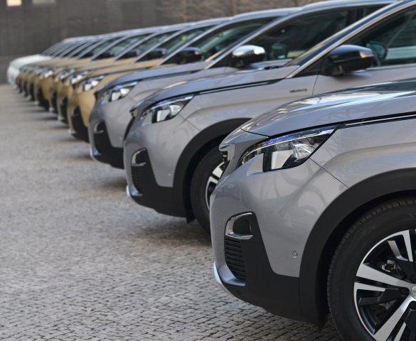 Plusieurs SUV alignés sur notre parc de stockage